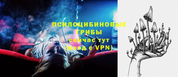 соль ск Алексин