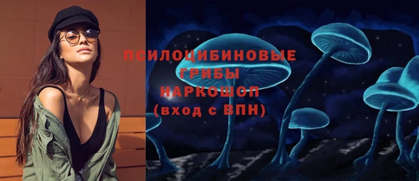 соль ск Алексин