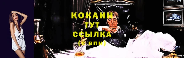 соль ск Алексин