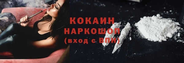 соль ск Алексин