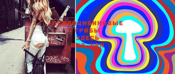 амф Алексеевка