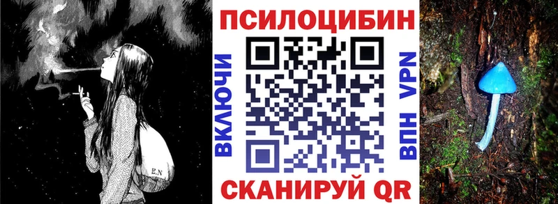 Псилоцибиновые грибы Psilocybine cubensis Карпинск