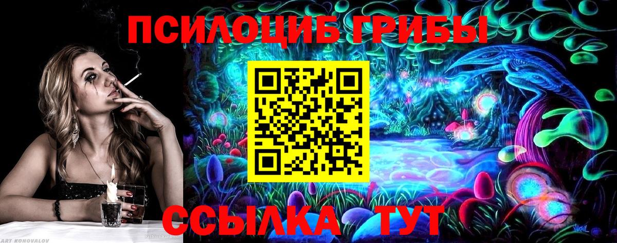 Галлюциногенные грибы Psilocybe Карпинск