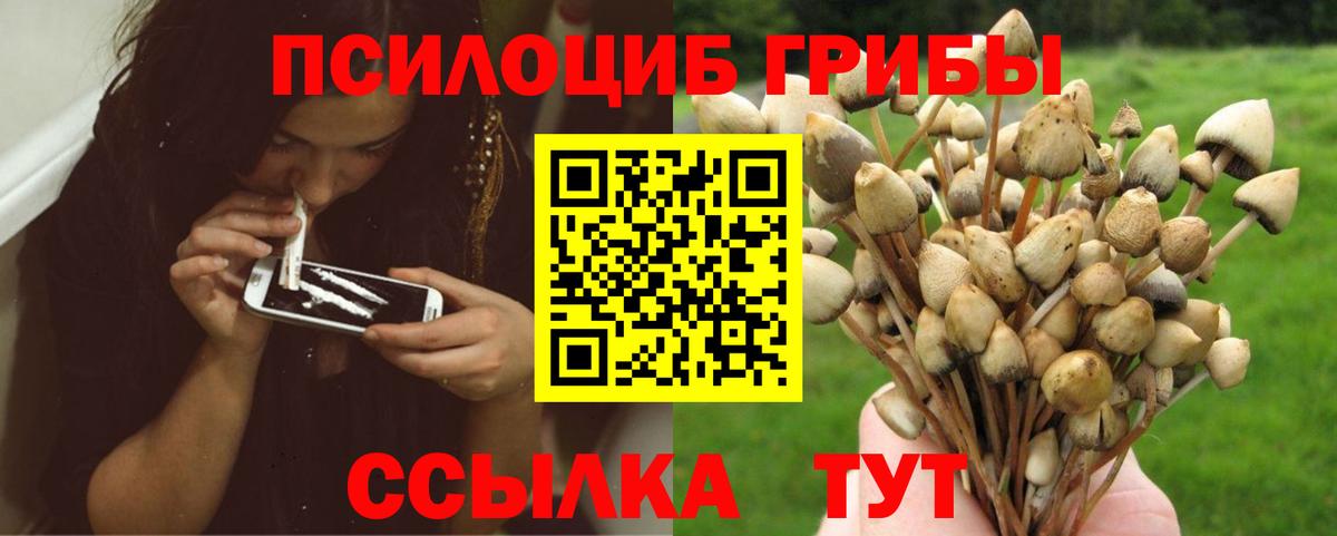 Карпинск  Галлюциногенные грибы мухоморы  Вход с VPN  Галлюциногенные грибы Cubensis 